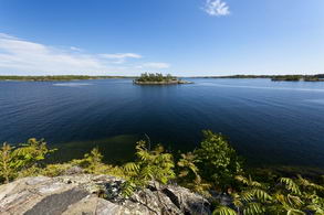 View from Sunrise Cottage - Country homes for sale and luxury real estate including horse farms and property in the Caledon and King City areas near Toronto